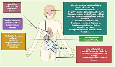 Microbiota, natural products, and human health: exploring interactions for therapeutic insights